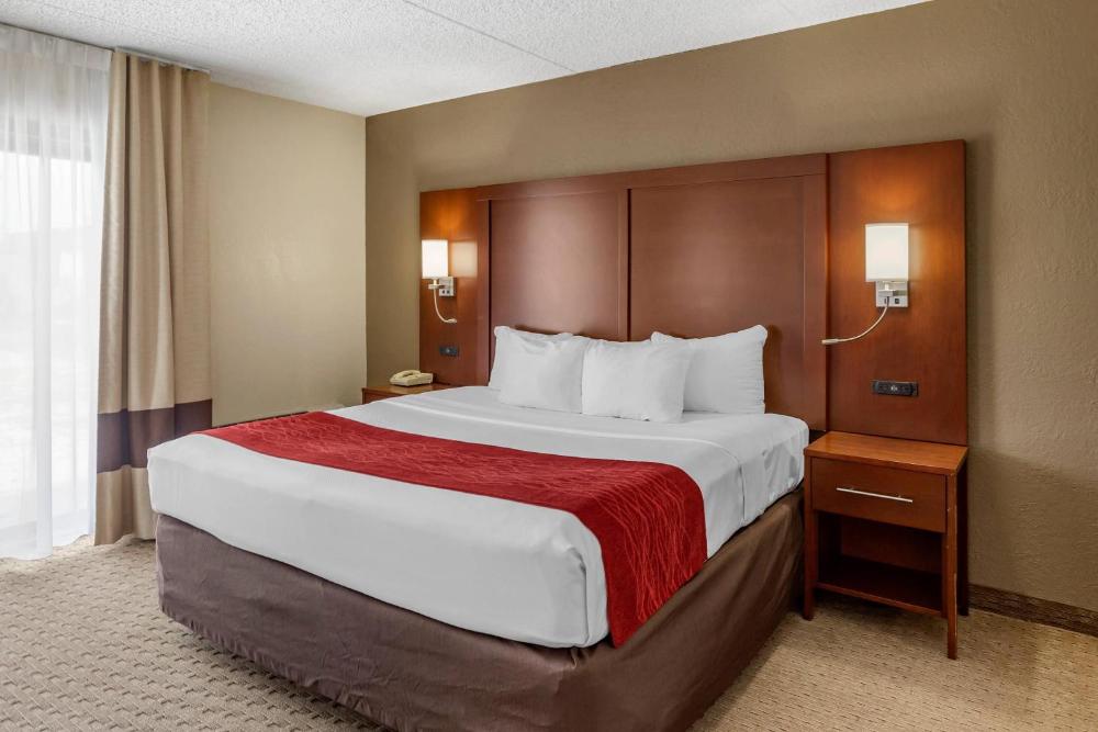 Standard King Room with Roll In Shower - Accessible/Non Smoking interior